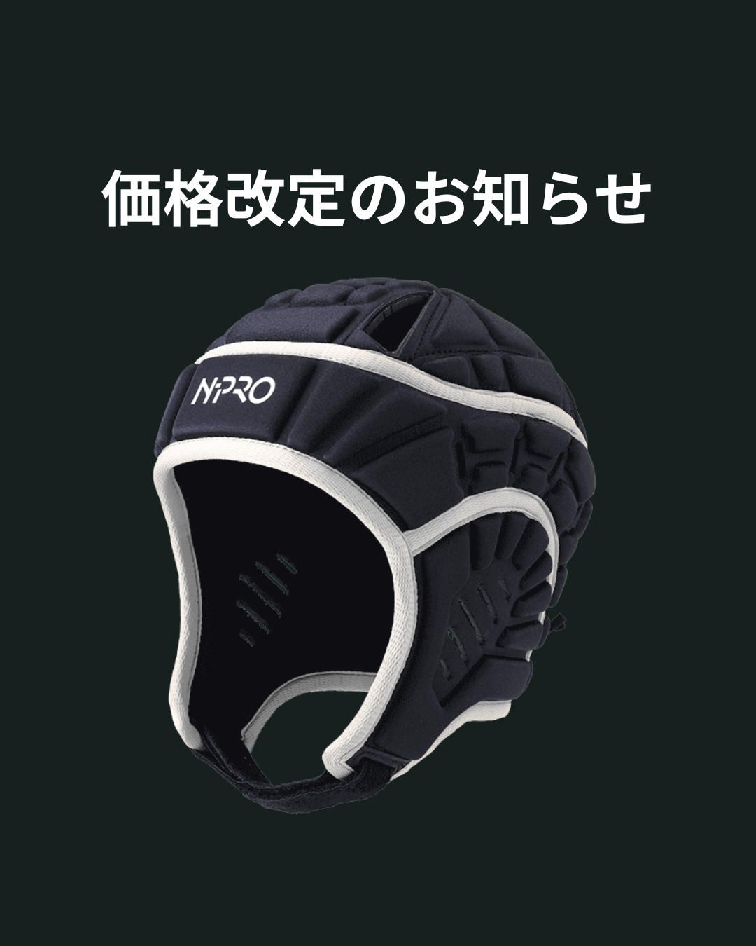 N-PRO価格改定のお知らせ